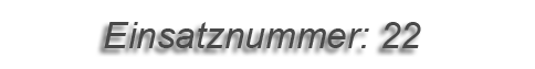 Einsatznummer: Einsatznummer: 22