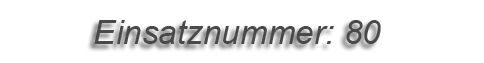 Einsatznummer: 80 Einsatznummer: 80