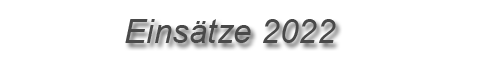 Einsätze 2022 Einsätze 2021